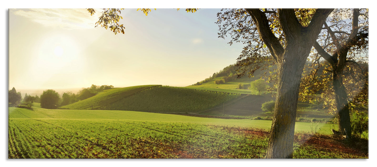 Pixxprint Landschaft im Herbst, Glasbild Panorama