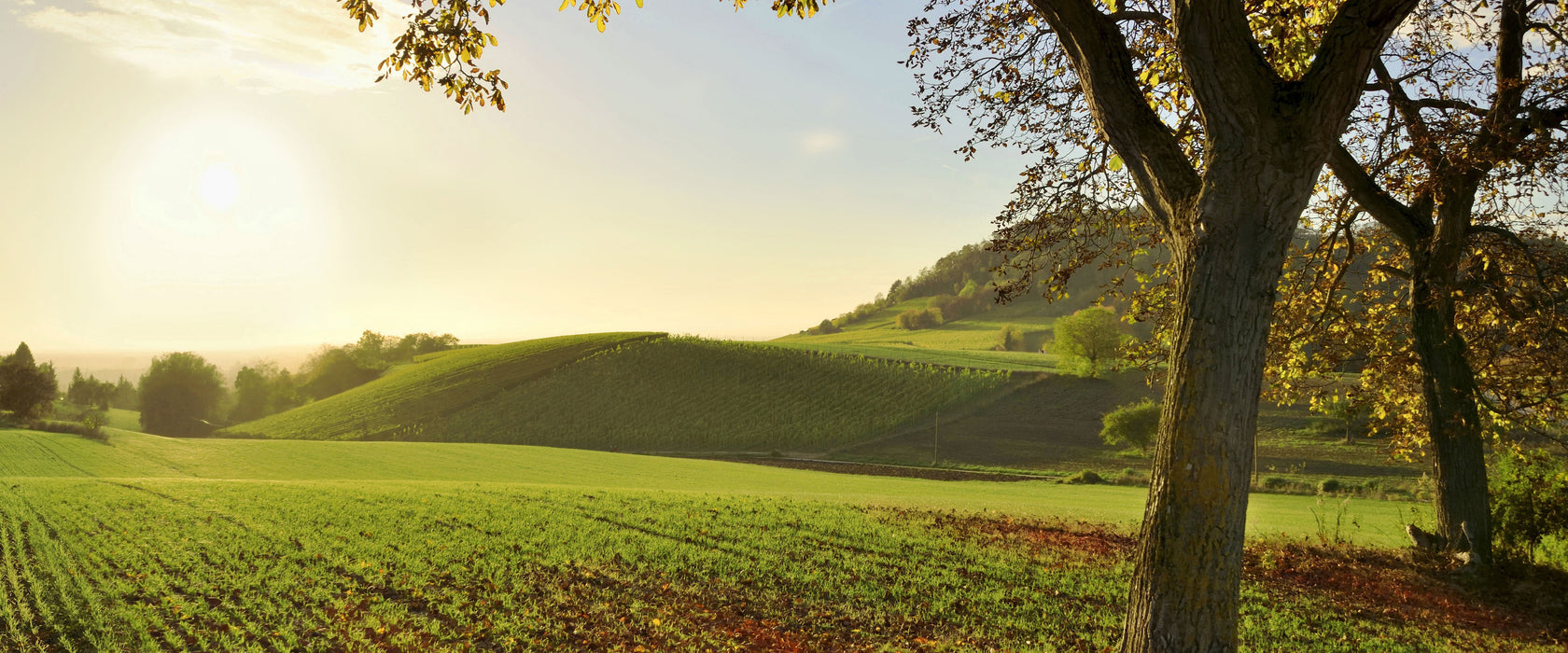 Landschaft im Herbst, Glasbild Panorama