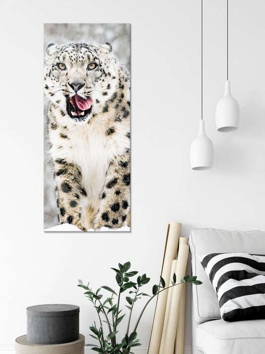 Leopard im Schnee, Glasbild Panorama