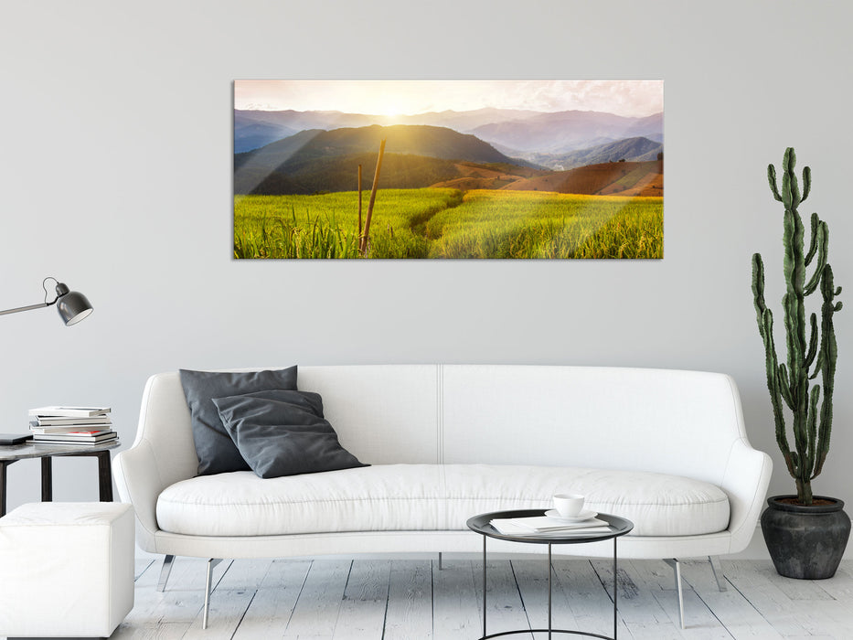 Reisfeld Plantage in Asien, Glasbild Panorama