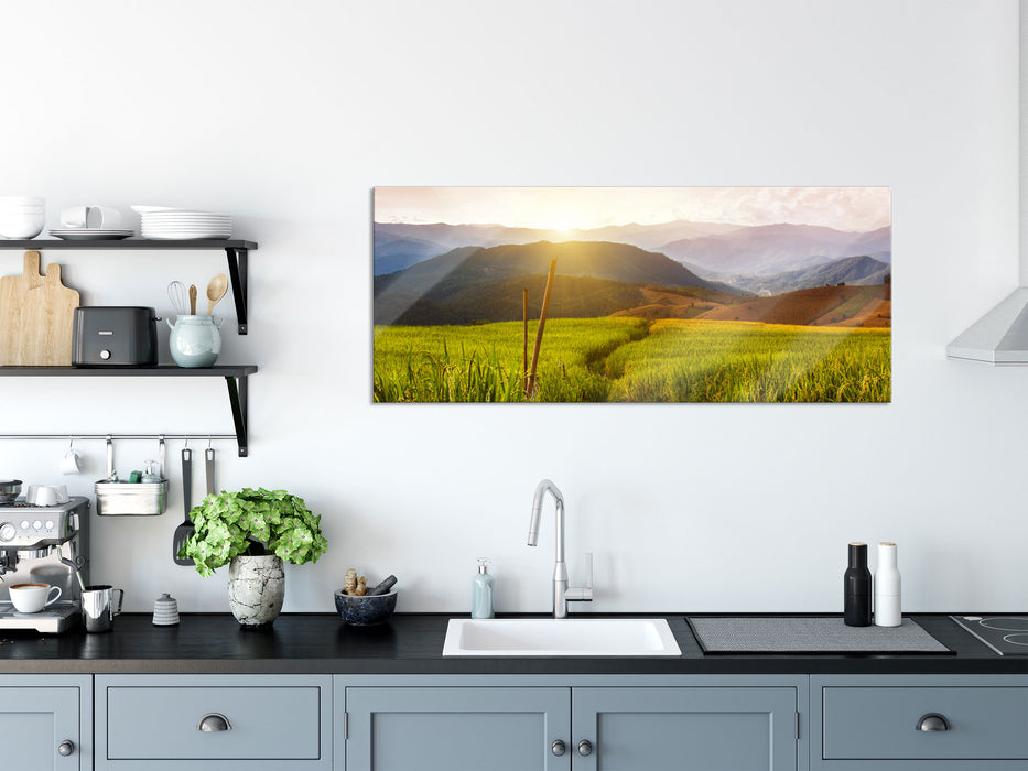 Reisfeld Plantage in Asien, Glasbild Panorama