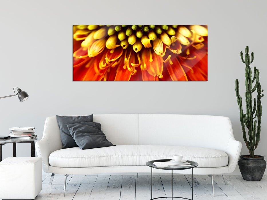 Nahaufnahme einer Gerbera, Glasbild Panorama