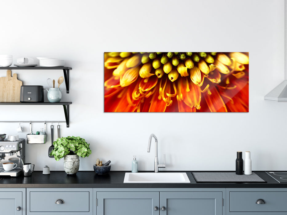 Nahaufnahme einer Gerbera, Glasbild Panorama