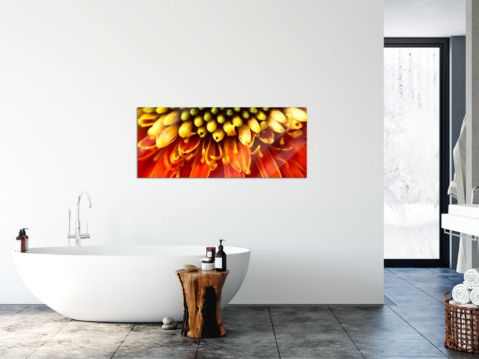 Nahaufnahme einer Gerbera, Glasbild Panorama