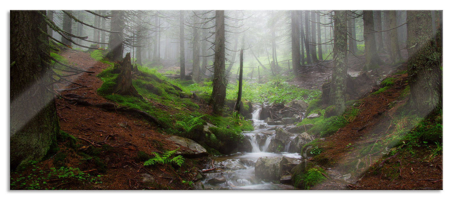 Pixxprint Bach im Wald, Glasbild Panorama