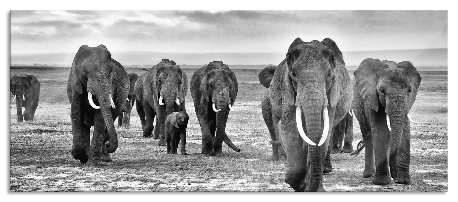 Pixxprint Elefanten Familie in der Savanne, Glasbild Panorama