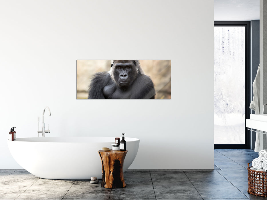 gelangweilter Gorilla, Glasbild Panorama