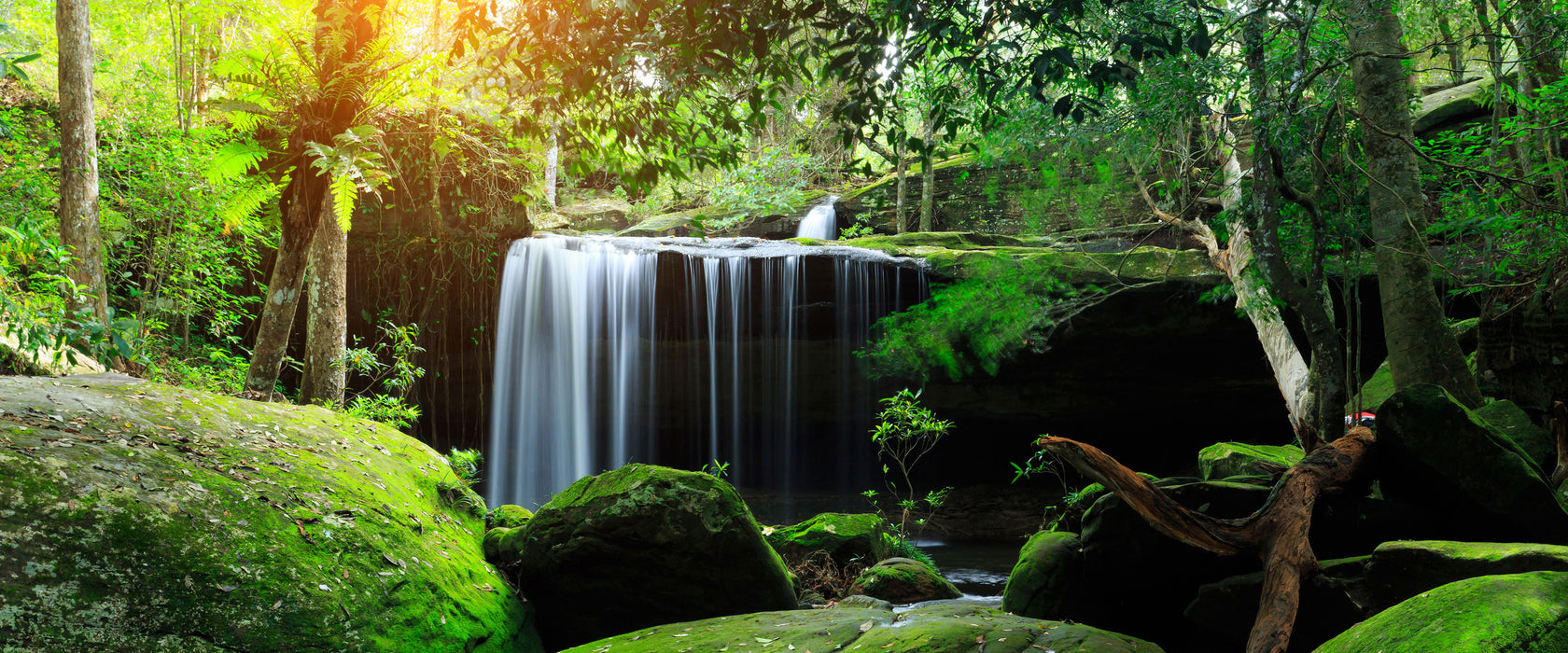 Regenwald in Thailand, Glasbild Panorama