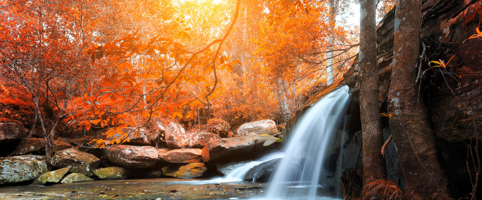 Wasserfall im Wald, Glasbild Panorama