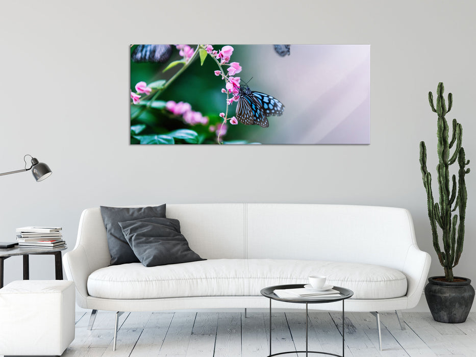 Schmetterlinge auf rosa Blumen, Glasbild Panorama