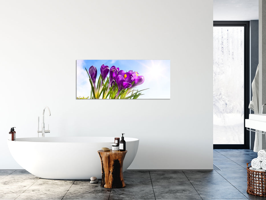 Kunst Frühling flower Hintergrund, Glasbild Panorama