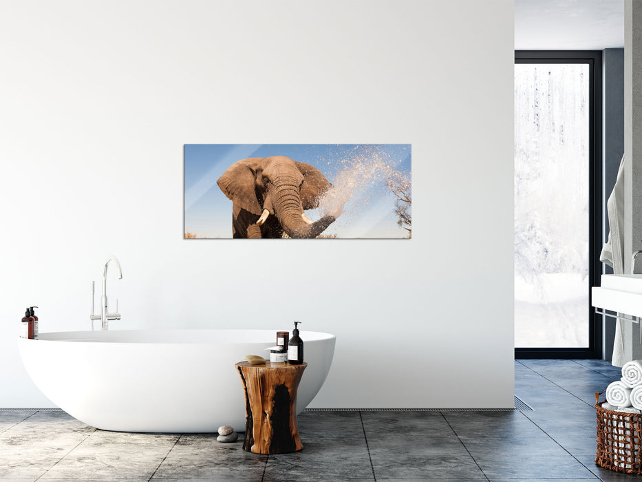 schöner Elefant spritzt mit Wasser, Glasbild Panorama