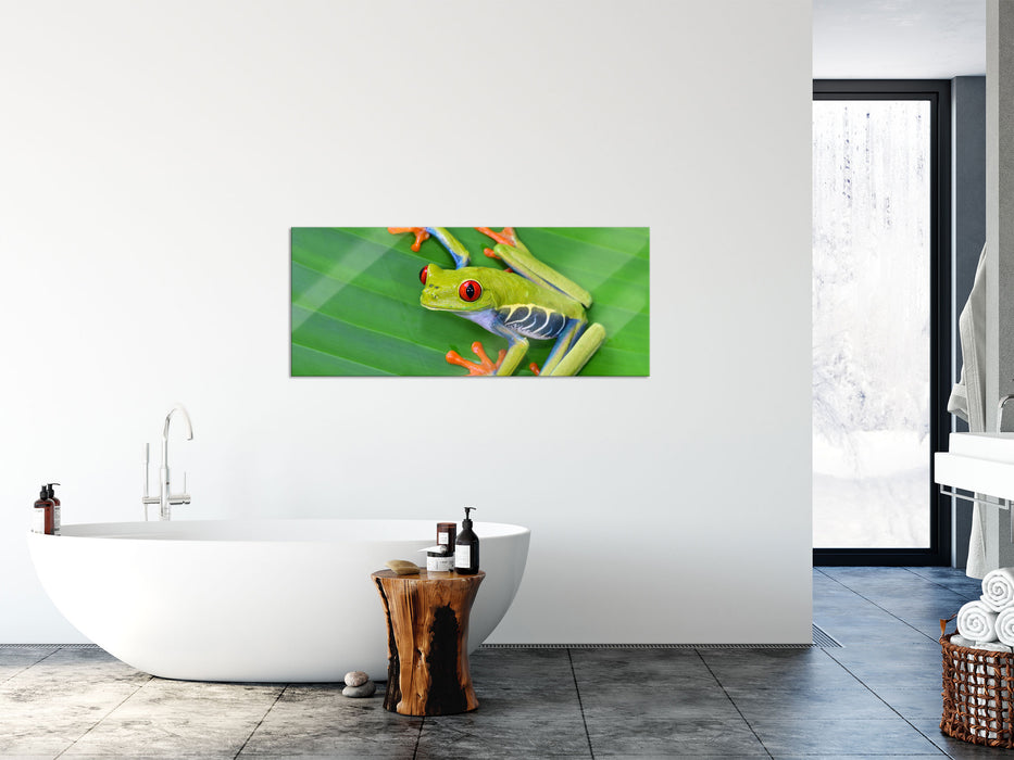 kleiner grüner Frosch auf Blatt, Glasbild Panorama