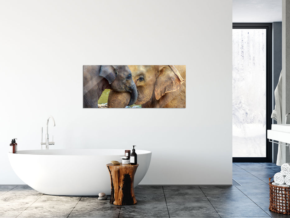 Elefantenmutter mit Kalb, Glasbild Panorama