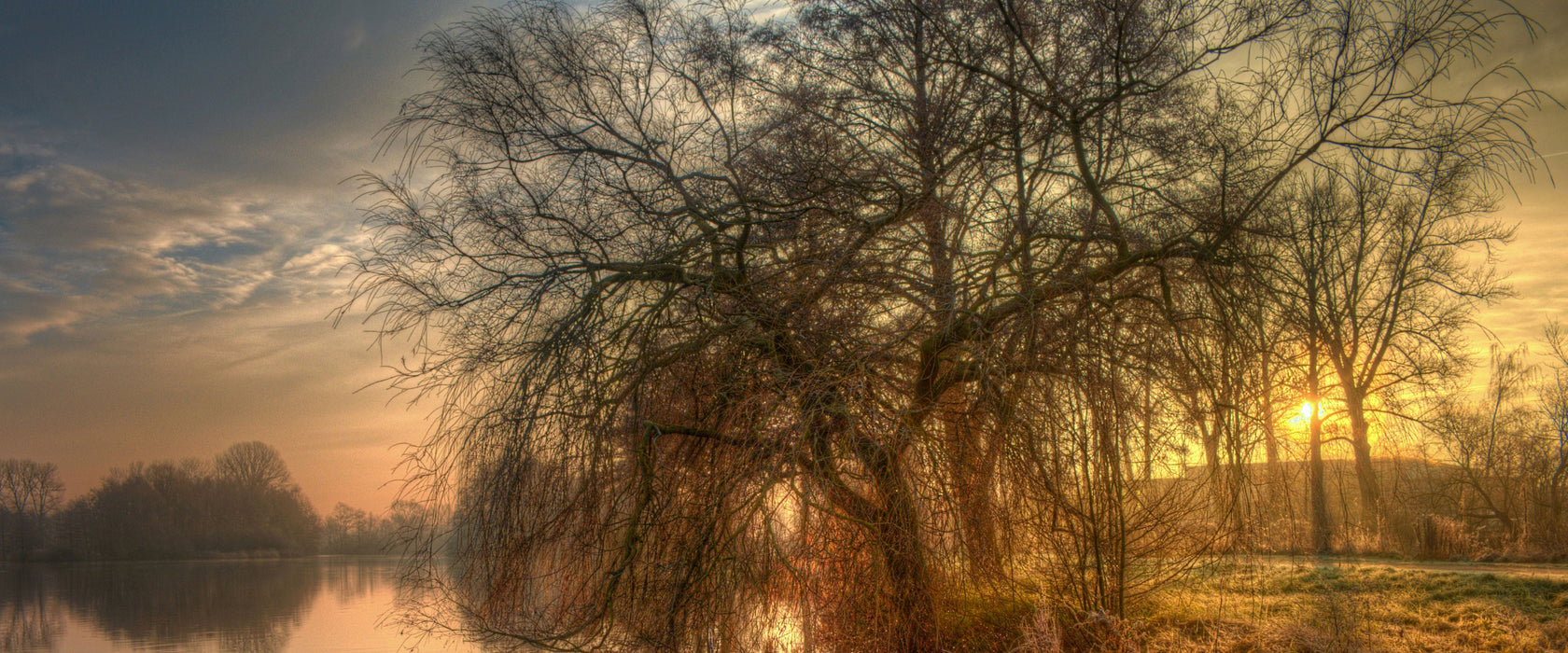 Landschaft im Morgengrauen, Glasbild Panorama