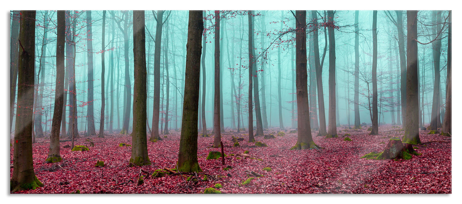Pixxprint abstrakter Wald, Glasbild Panorama