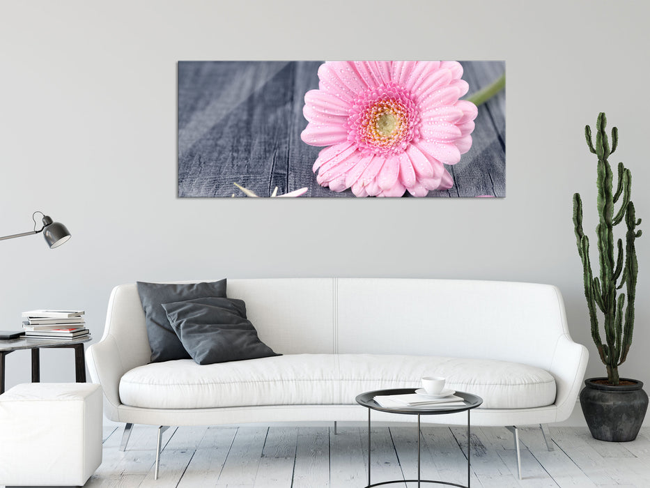 pinke Gerbera auf rustikalem Boden, Glasbild Panorama