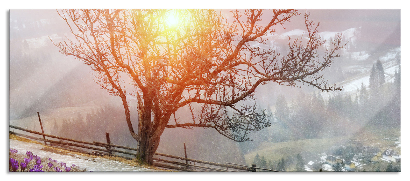 Pixxprint Krokusswiese in Gebirge, Glasbild Panorama