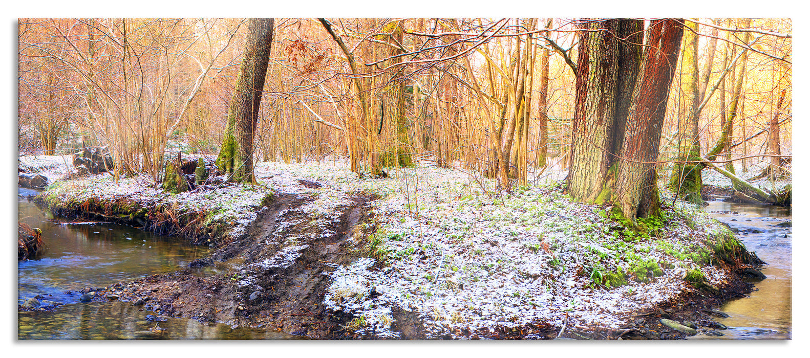 Pixxprint schneebedeckter Waldboden, Glasbild Panorama