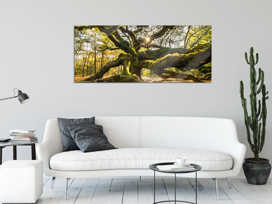 gigantisch verzweigter Baum, Glasbild Panorama