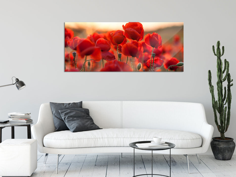 Feuriger Mohn, Glasbild Panorama