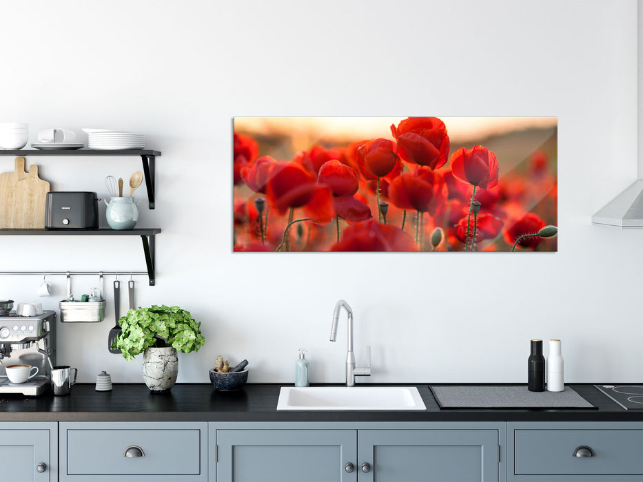 Feuriger Mohn, Glasbild Panorama