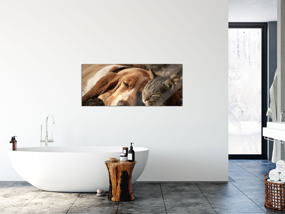 Katze und Hund kuschelnd, Glasbild Panorama