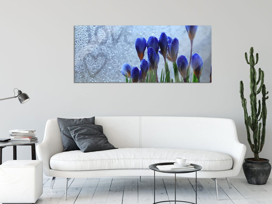 Frühlingsblumen Tropfen, Glasbild Panorama