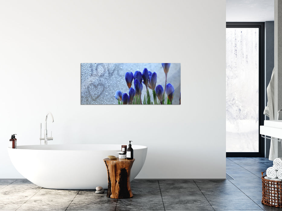 Frühlingsblumen Tropfen, Glasbild Panorama