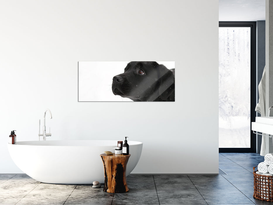 Schwarzer Labrador im Schnee, Glasbild Panorama