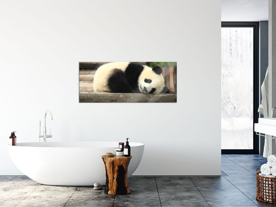 süßer kleiner Pandabär, Glasbild Panorama