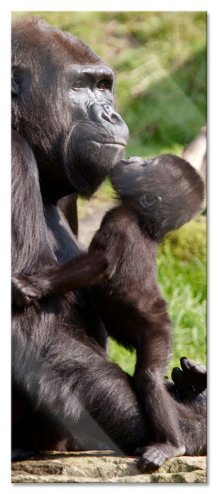 Pixxprint Gorilla-Baby küsst seine Mutter, Glasbild Panorama