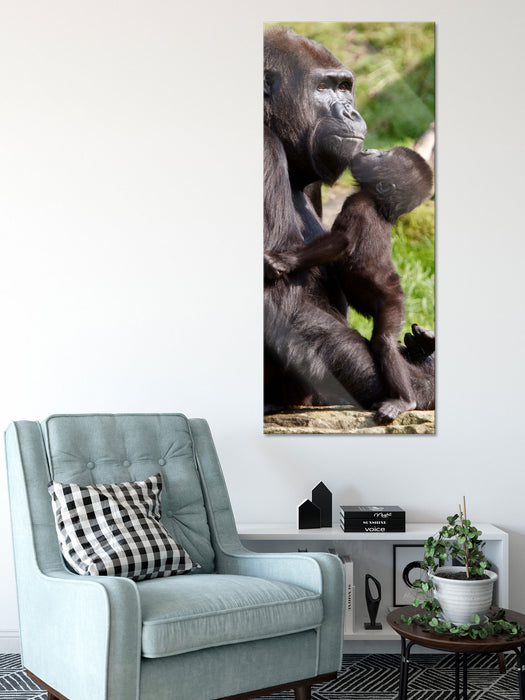 Gorilla-Baby küsst seine Mutter, Glasbild Panorama