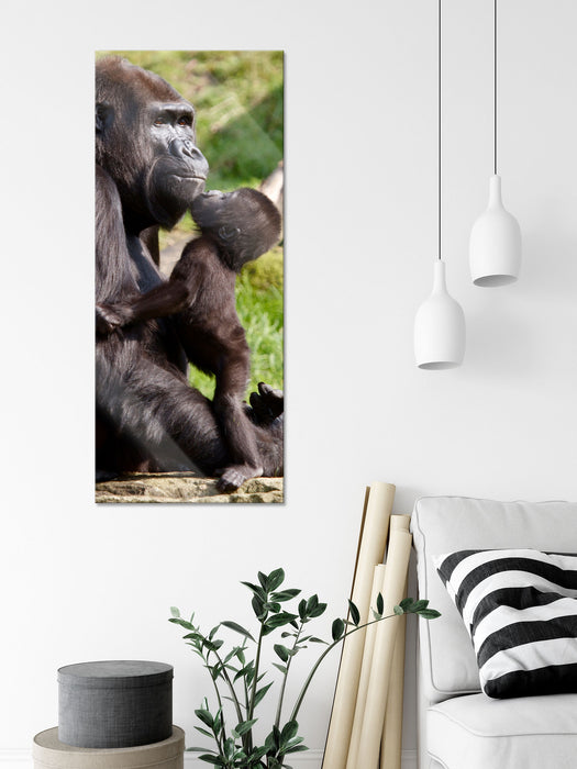 Gorilla-Baby küsst seine Mutter, Glasbild Panorama