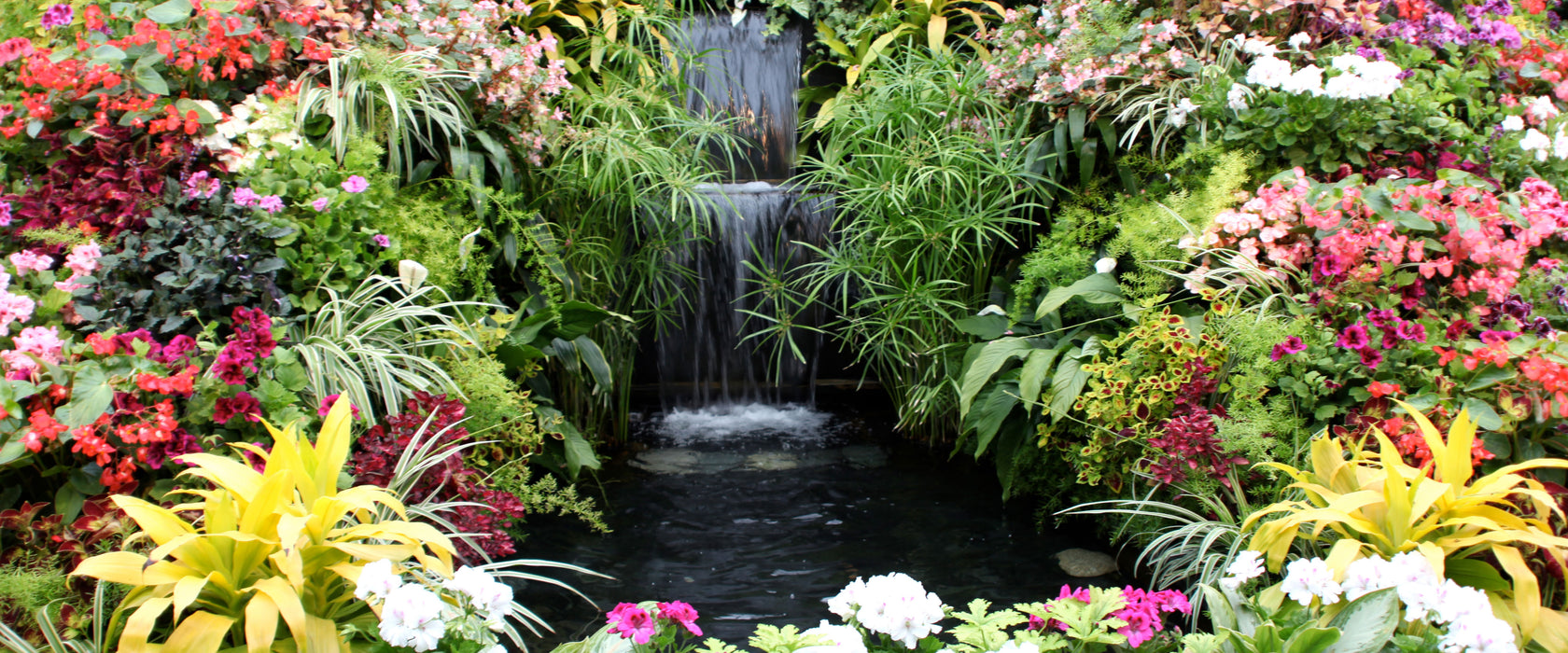 farbenfrohe Blumenoase, Glasbild Panorama