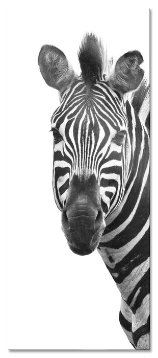 Pixxprint Zebra im Portrait, Glasbild Panorama