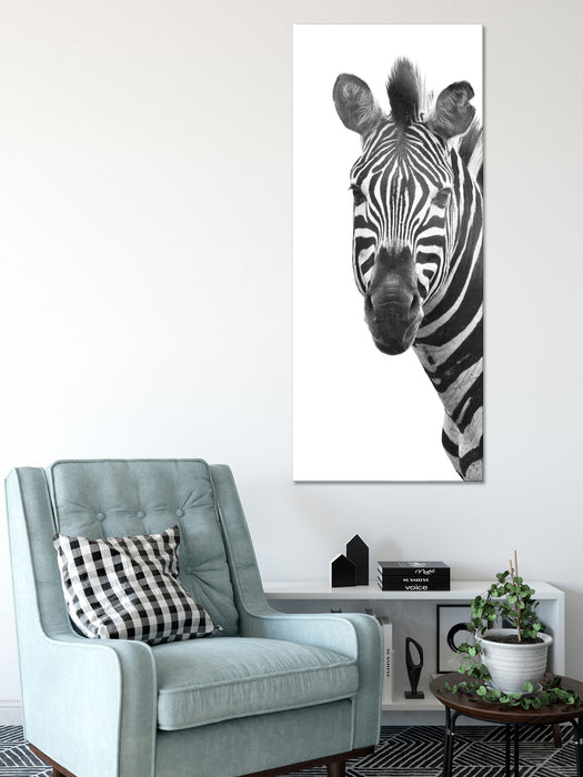 Zebra im Portrait, Glasbild Panorama