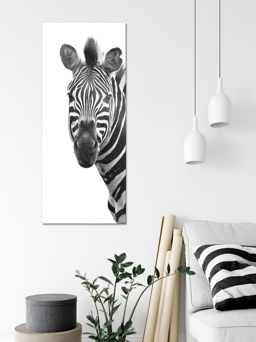 Zebra im Portrait, Glasbild Panorama