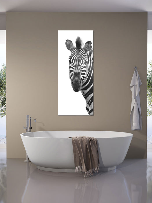 Zebra im Portrait, Glasbild Panorama