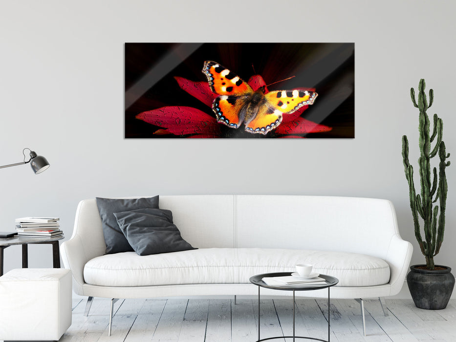 Schmetterling auf roter Blüte, Glasbild Panorama