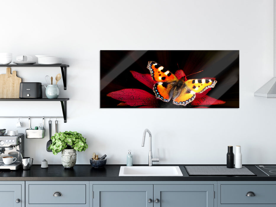 Schmetterling auf roter Blüte, Glasbild Panorama