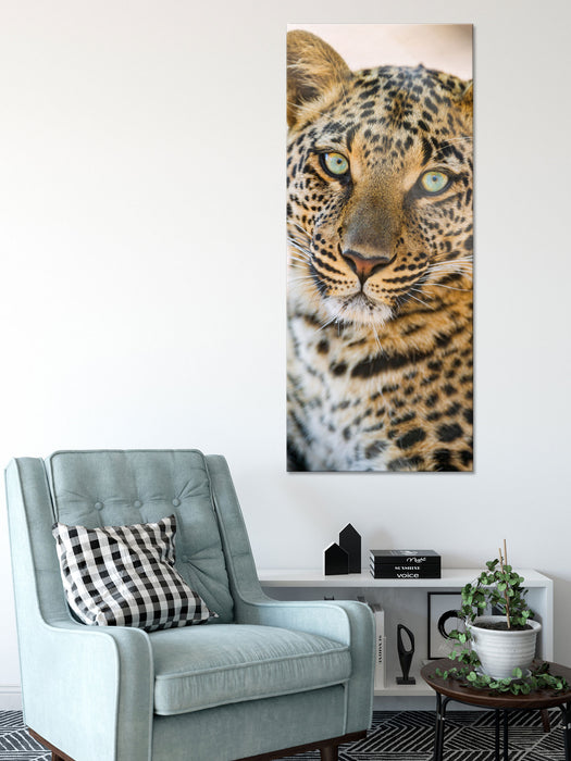 schöner Leopard, Glasbild Panorama