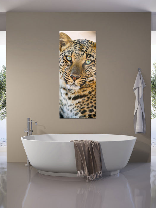 schöner Leopard, Glasbild Panorama