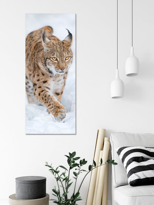 Luchs im Schnee, Glasbild Panorama