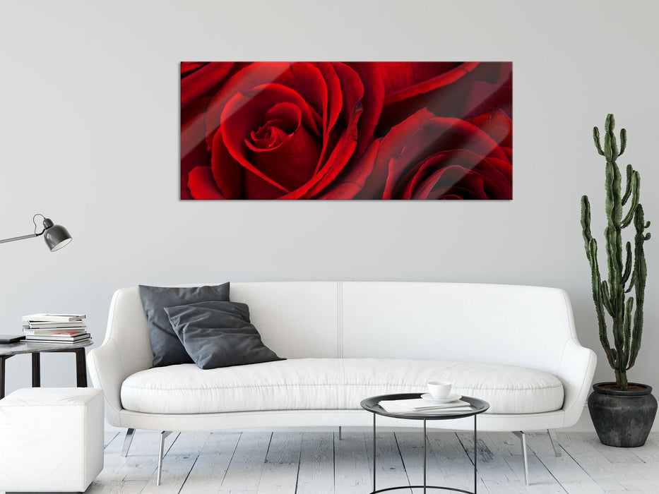 rote Rosen, Glasbild Panorama