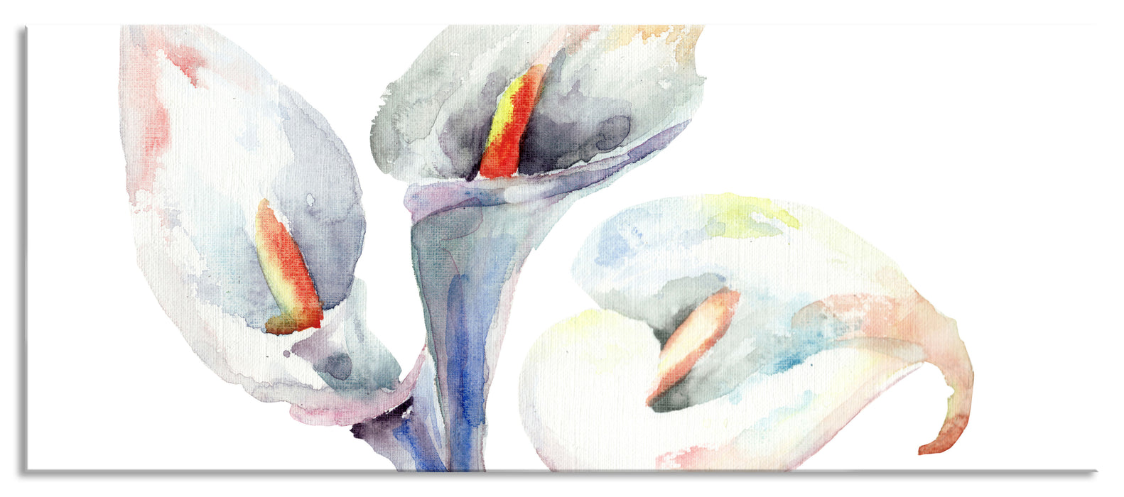 Pixxprint Aquarell Blüten Callas Kunst, Glasbild Panorama