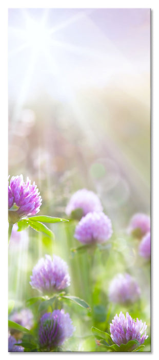 Pixxprint Kleeblüten im Sonnenschein, Glasbild Panorama