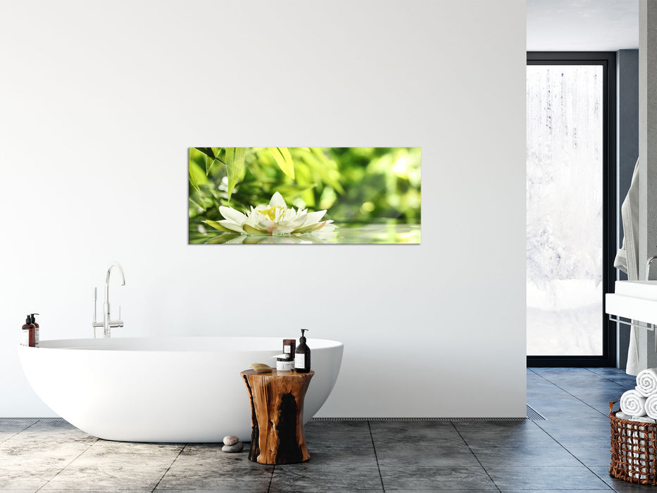 Weiße Seerose im Wasser Wellness, Glasbild Panorama