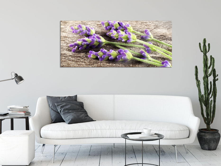 Liegender frischer Lavendel, Glasbild Panorama