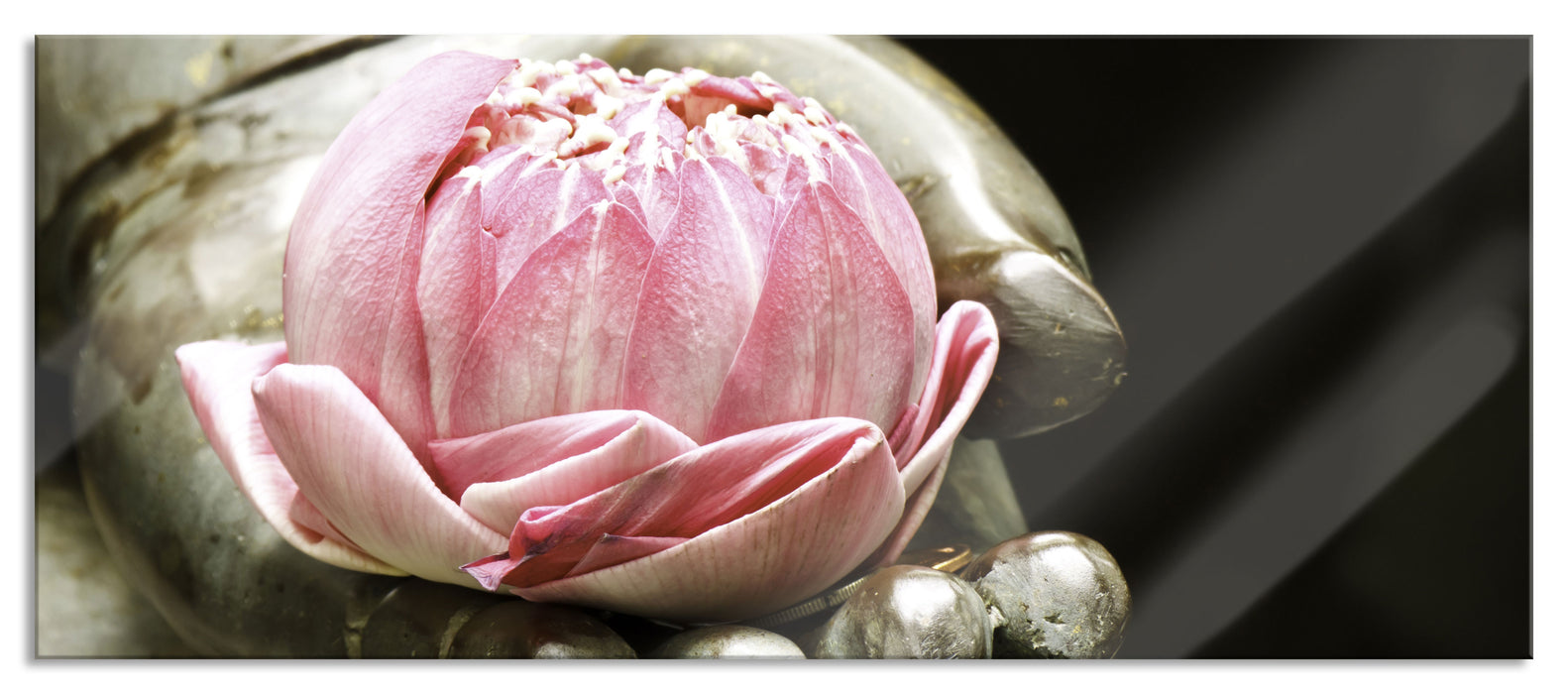 Pixxprint Lotus auf der Hand eines Buddhas, Glasbild Panorama